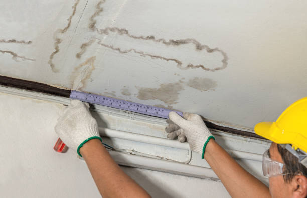Reliable Mold Remediation contractor in New Portland, ME by Water Damage Irwin